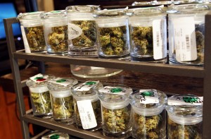 File photo of several varieties of marijuana buds are displayed for sale at a medical marijuana center in Denver