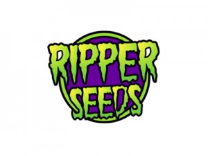 riper logo