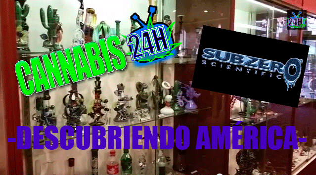Descubriendo América, Cannabis 24h en USA