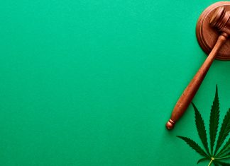 La MACA continúa su lucha