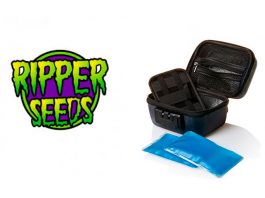 Funda rígida fría para llevar extracciones o «Cold Case» de la mano de RipperSeeds