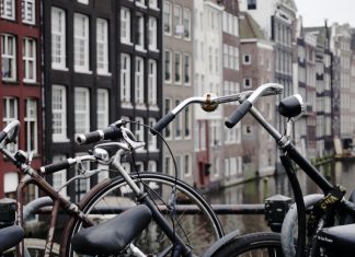 Reabren coffeshops en Holanda tras la alta demanda de cannabis