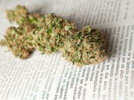 Comisarías de policía con secaderos de Marihuana