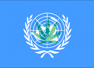 Finalmente la ONU reconoce las propiedades medicinales del cannabis ¿y ahora qué? Última votación de la ONU sobre cannabis medicinal