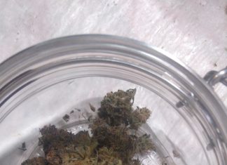 Hoy se puede hacer historia en el Senado