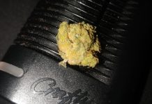 Finalmente la comisión de Sanidad del Congreso aprueba el uso del cannabis medicinal.