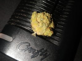 Finalmente la comisión de Sanidad del Congreso aprueba el uso del cannabis medicinal.