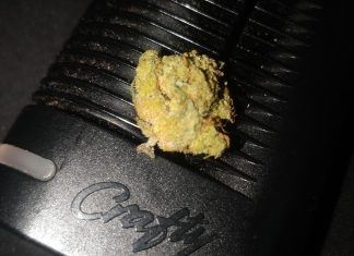 Finalmente la comisión de Sanidad del Congreso aprueba el uso del cannabis medicinal.