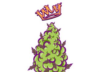 Sevilla Cannabis Cup 2023 Logo Sevilla cannabis cup