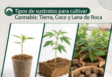 Tipos de Sustratos para Cultivar Cannabis: Tierra, Coco y Lana de Roca Tipos sustratos para cultivo de cannabis