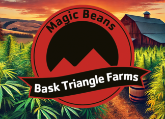 Descubre Bask Triangle Farms: Innovación y Excelencia en Semillas de Cannabis Bask Triangle Farms Seeds