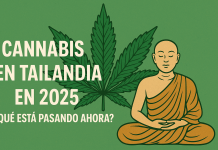 Cannabis en Tailandia en 2025: ¿Qué está pasando ahora? Historia, leyes y nueva prohibición