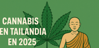 Cannabis en Tailandia en 2025: ¿Qué está pasando ahora? Historia, leyes y nueva prohibición