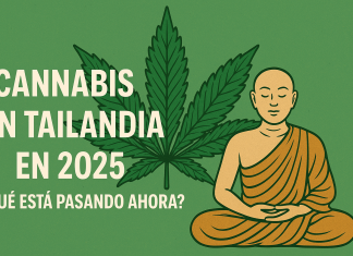 Cannabis en Tailandia en 2025: ¿Qué está pasando ahora? Historia, leyes y nueva prohibición