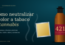 Cómo neutralizar el olor a tabaco y cannabis en casa
