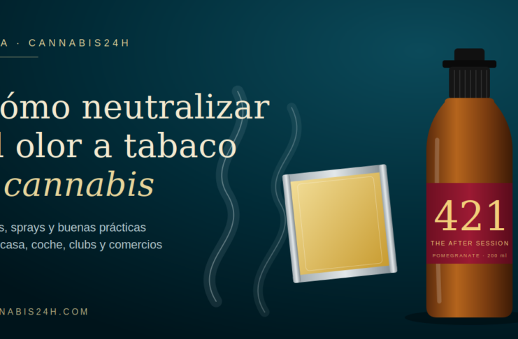 Cómo neutralizar el olor a tabaco y cannabis en casa